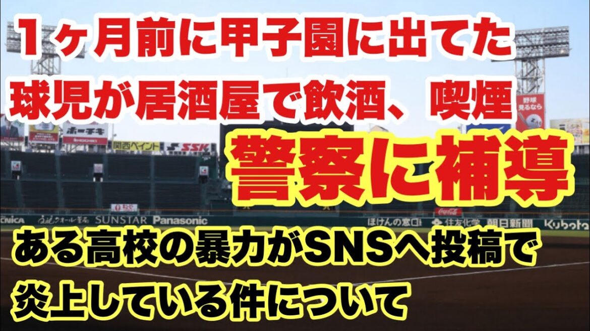 【高校野球】前代未聞の不祥事❗️１ヶ月前に甲子園出場した高校球児が居酒屋で飲酒、喫煙で警察に補導された件について