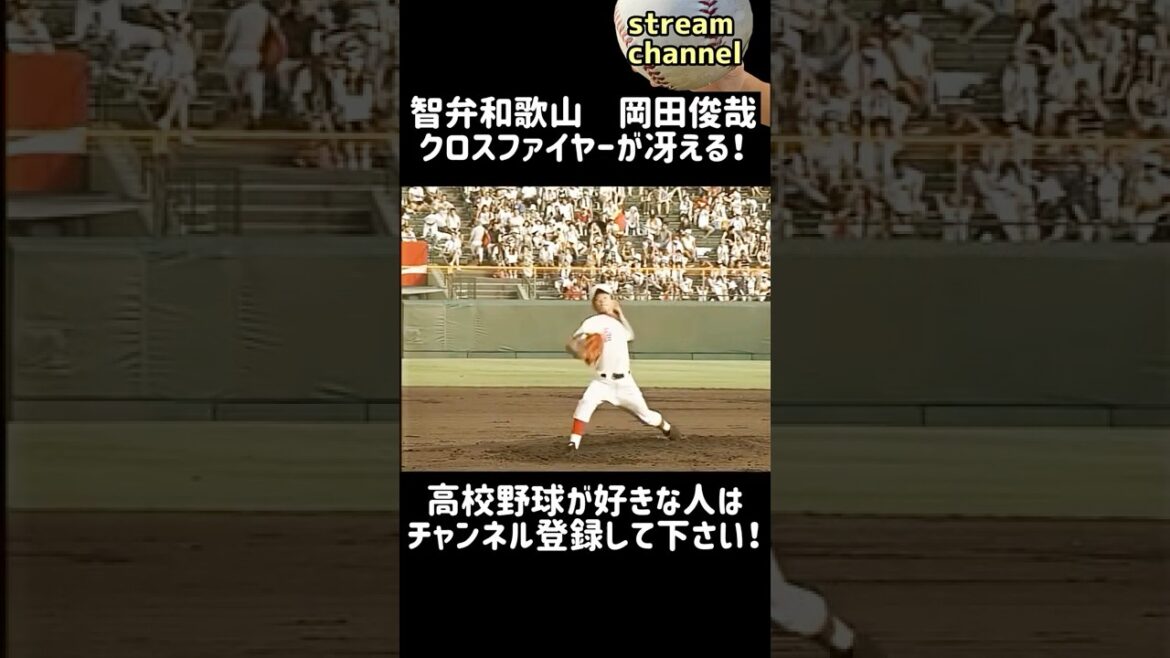 【智弁和歌山】岡田俊哉投手の甲子園での活躍【高校野球】