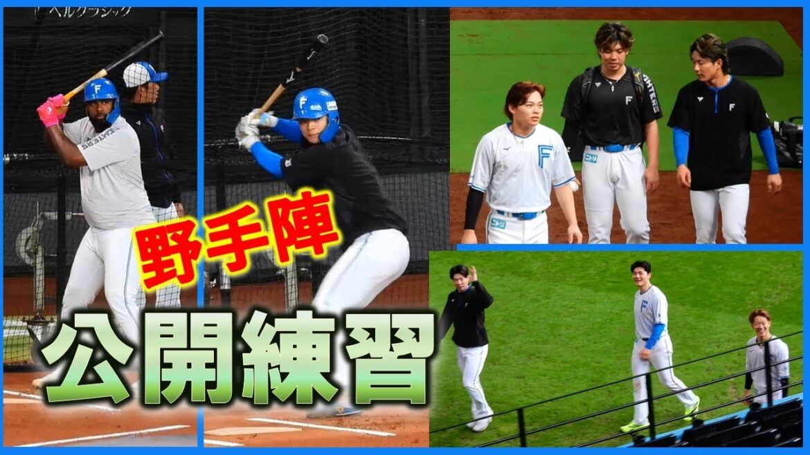 【20251013】公開練習（野手編まとめ）