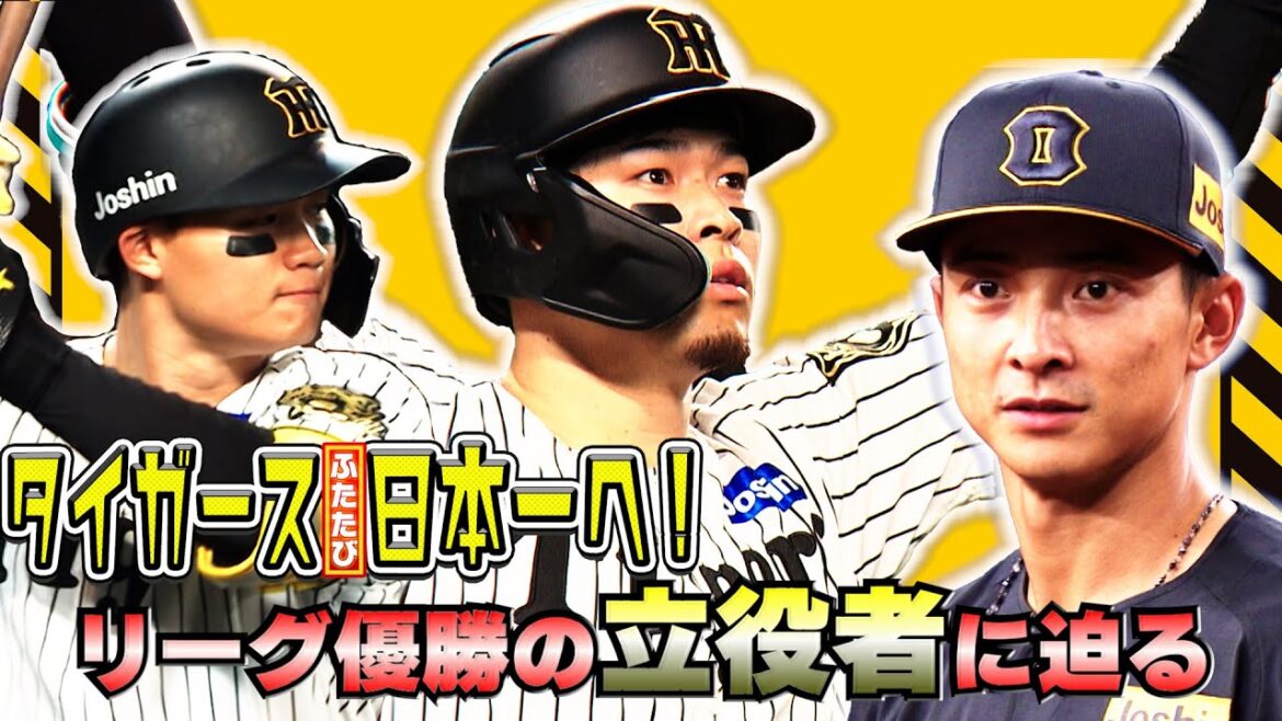 【ポストシーズンのキーマン】阪神優勝の立役者3人!!活躍の理由 【ポストシーズンのキーマン】阪神優勝の立役者3人!!活躍の理由