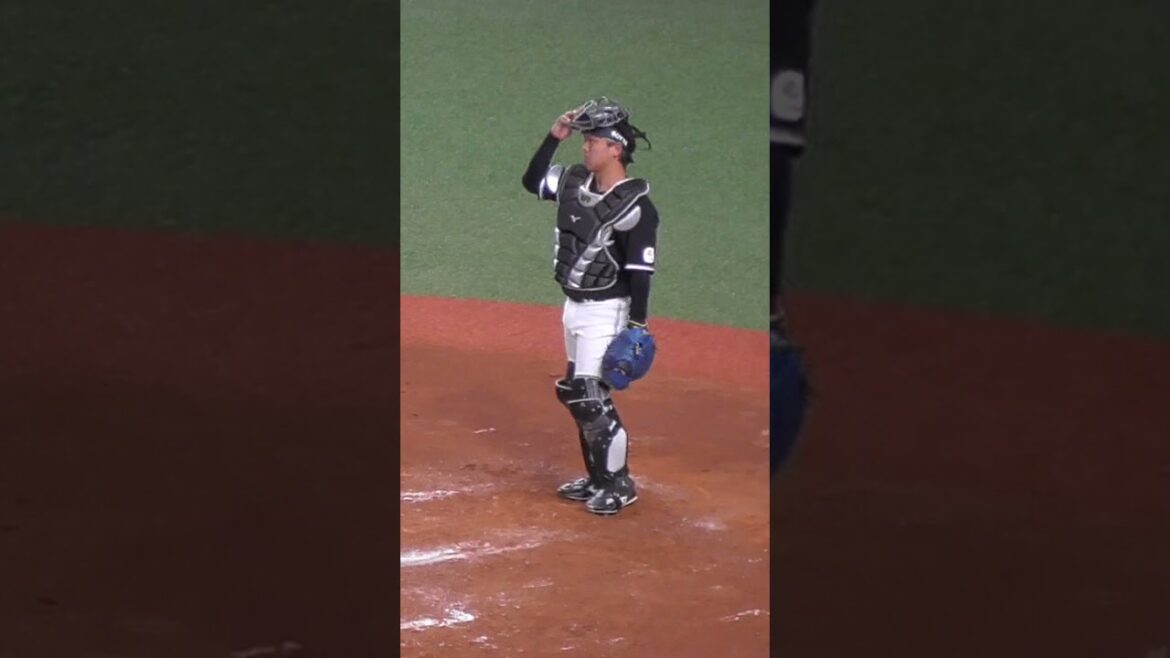 田村 龍弘　口数の多さは球界トップクラス　#千葉ロッテマリーンズ #shorts