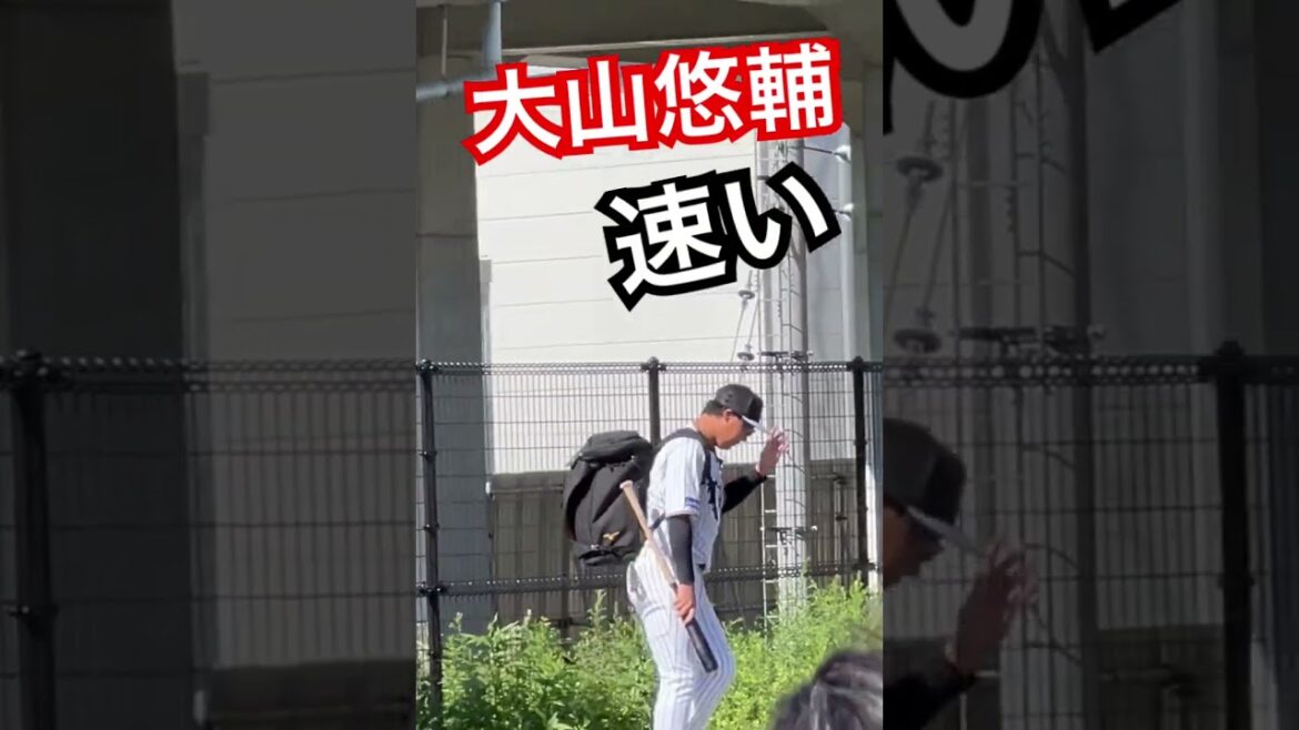 #阪神 #大山悠輔  #阪神タイガース #尼崎 #練習場 #hanshintigers #阪神大山