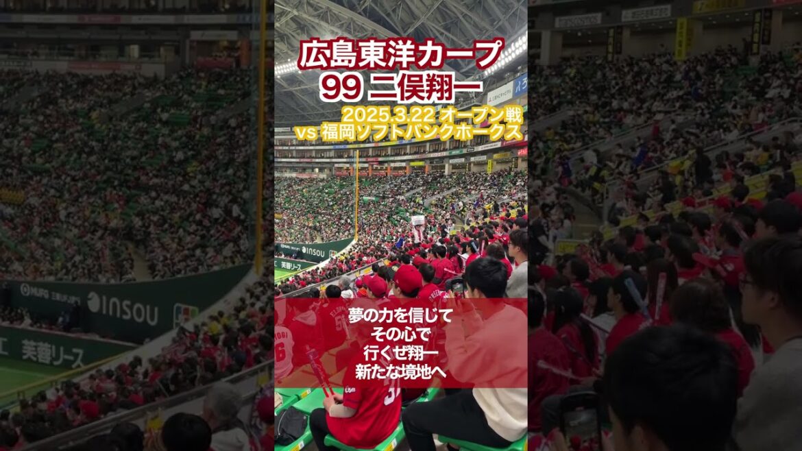 【広島東洋カープ】99二俣翔一のテーマ【応援歌】#広島東洋カープ  #carp #二俣翔一 #shorts