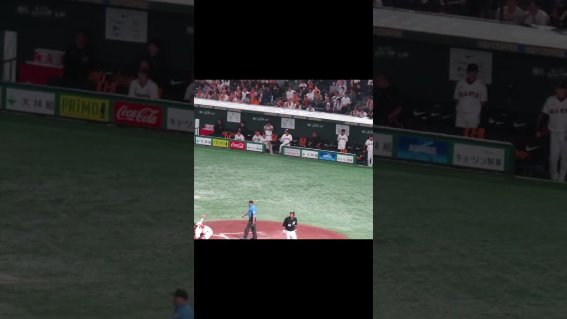 ピンチで愛斗を三振に取った井上温大に拍手を送る巨人ベンチ＜読売ジャイアンツ対 千葉ロッテマリーンズ2024年6月6日＞