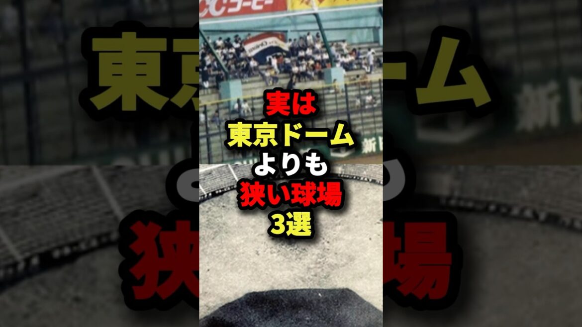 実は東京ドームよりも狭い球場3選#野球 #プロ野球 #shorts