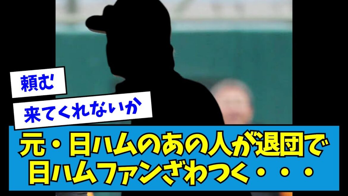 【?!】元・日ハムのあの人が退団で日ハムファンざわつく・・・【なんJ反応】 【?!】元・日ハムのあの人が退団で日ハムファンざわつく・・・【なんJ反応】