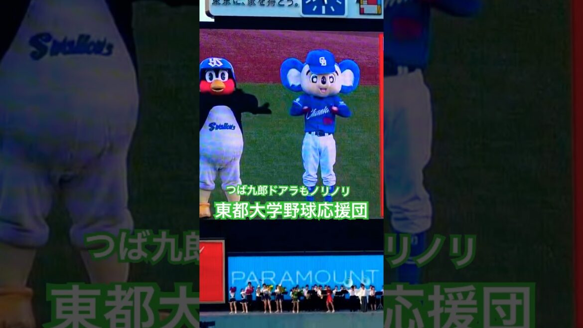 東都大学野球応援団にノリノリなつば九郎ドアラ、そして大島くんと落合コーチ！ #swallows #つば九郎 #ドアラ #東都大学野球 #落合英二 #大島洋平