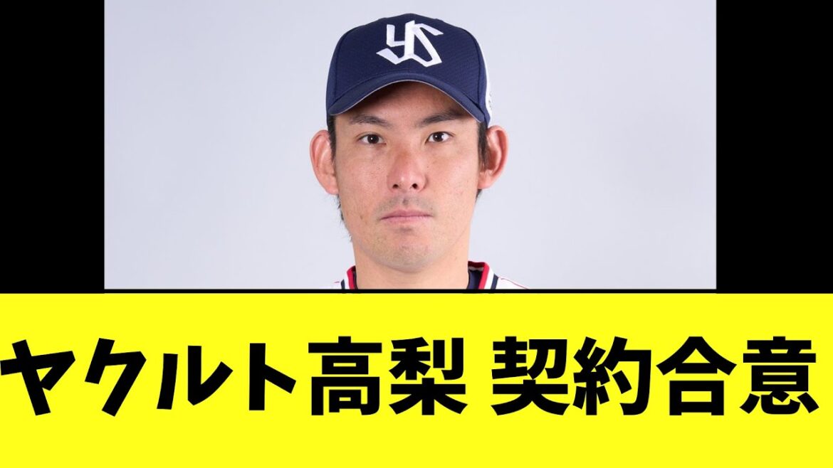 ヤクルト高梨裕稔 契約合意