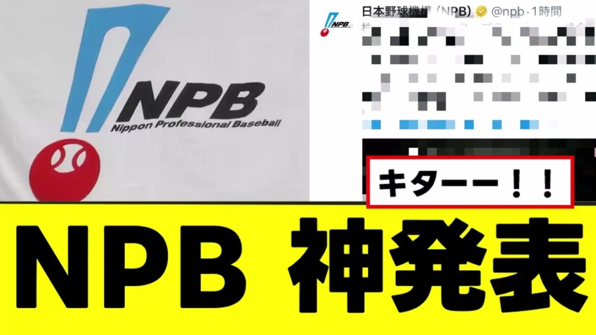 【NPB】全野球ファン待望の神発表ｗｗｗ