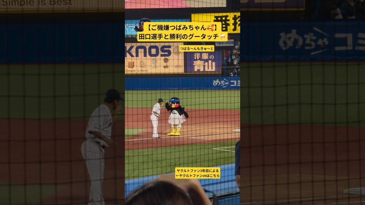 【ご機嫌つばみちゃん🥰】たぐちくんと勝利のグータッチ #ヤクルト #スワローズ #神宮球場 #つばみ #つば九郎 #田口麗斗 #npb