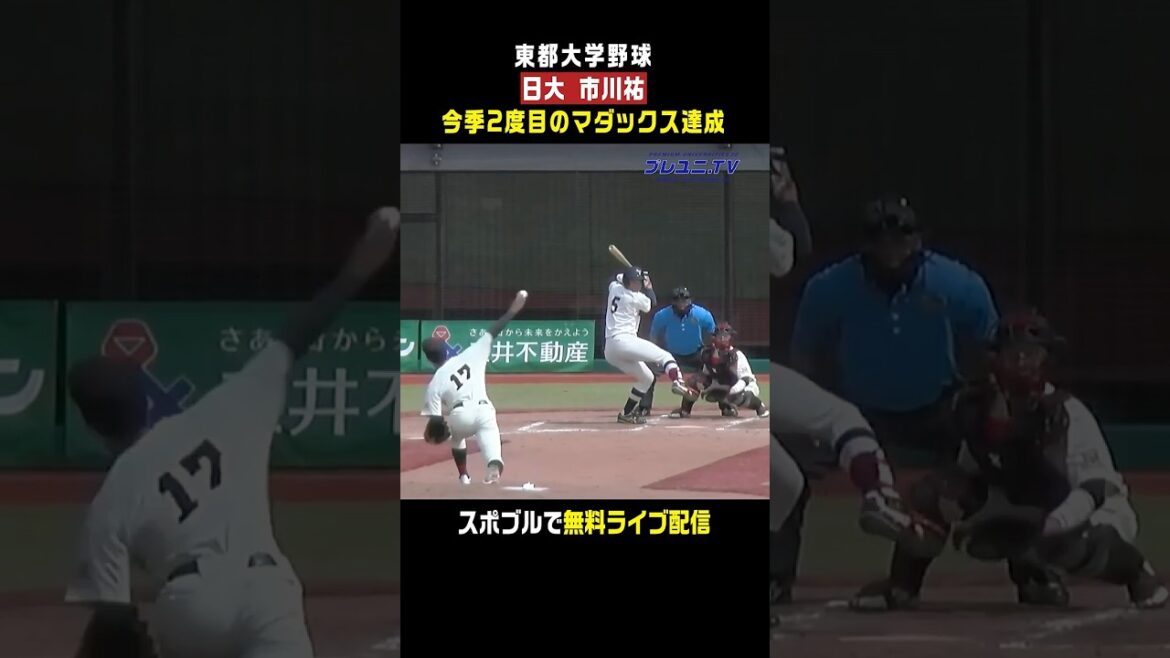 【堂々たるエースの背中】「日大出身」巨人の赤星優志の意思を継ぐ!? 市川祐(日大)が今季2度目のマダックス達成 #東都大学野球 #市川祐 #関東第一 【堂々たるエースの背中】「日大出身」巨人の赤星優志の意思を継ぐ!? 市川祐(日大)が今季2度目のマダックス達成 #東都大学野球 #市川祐 #関東第一