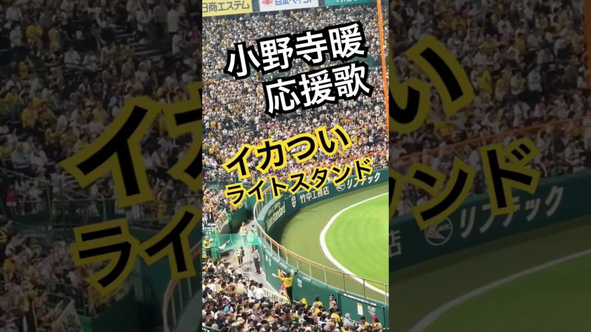 #tigers #小野寺暖 #応援歌 #阪神タイガース #hanshintigers #阪神 #阪神応援 #プロ野球 阪神甲子園球場 #猛虎 #hanshin #アレ