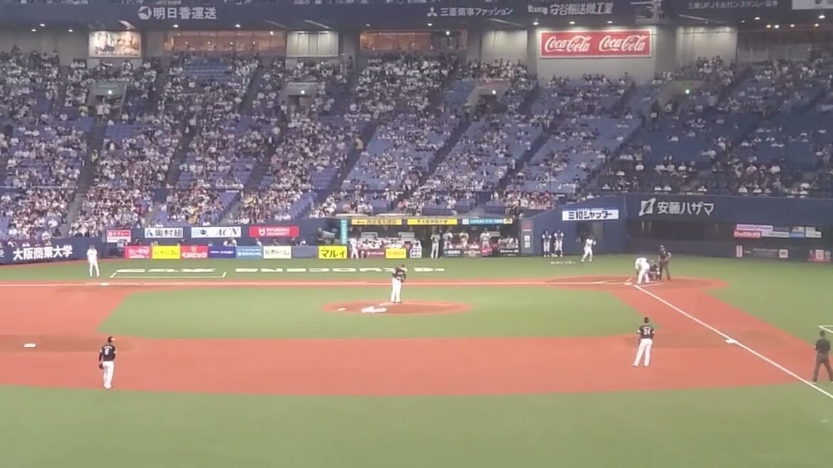 20240913　ﾀｲｼの底力♪【廣岡大志 応援歌】　1回ｳﾗ　ｵﾘｯｸｽ･ﾊﾞﾌｧﾛｰｽﾞ@京ｾﾗﾄﾞｰﾑ大阪･ﾚﾌﾄ外野下段