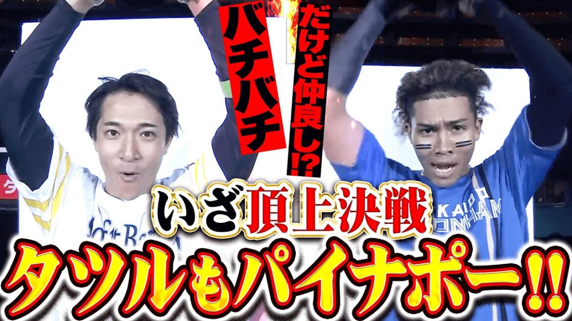 【さあ頂上決戦】バチバチで仲良し!? 『両主砲にらみ合い…タツルもパイナポー！』