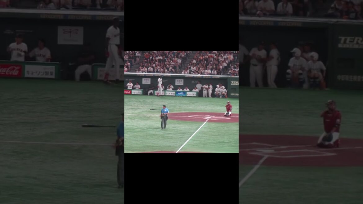 ヒットを放った舟越秀虎を見て喜ぶ巨人ベンチの若手たち（読売ジャイアンツ 対 楽天ゴールデンイーグルス 2024年9月22日）