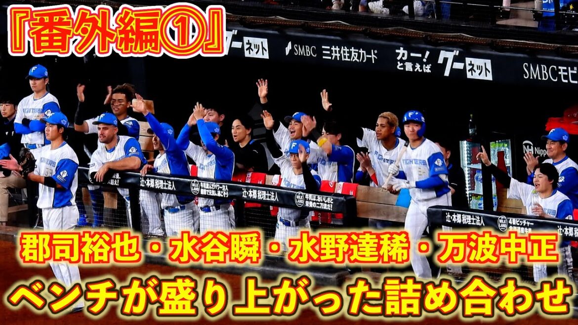 【20251012】『番外編①』ベンチが盛り上がった詰め合わせ（郡司裕也、水谷瞬、水野達稀、万波中正）
