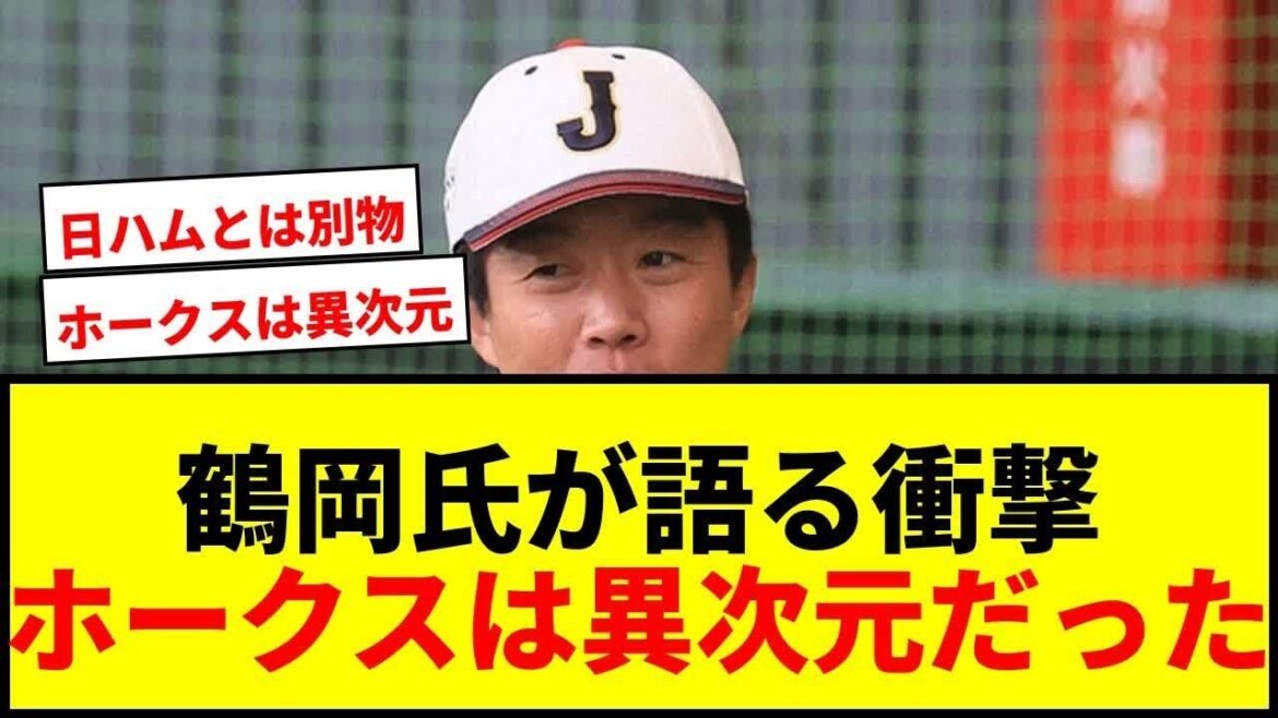 【大谷翔平】【衝撃】鶴岡慎也氏が語る日本ハムからソフトバンクFA移籍での衝撃体験「全然違うチーム来ちゃった」