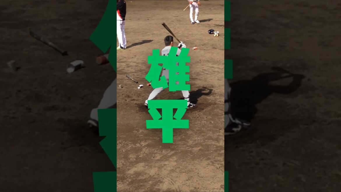【プロ野球】ヤクルト 雄平選手のティーバッティング⚾️⚾️⚾️ #shorts #野球 #プロ野球 #バッティング #ヤクルトスワローズ #swallows #野球観戦 #baseball