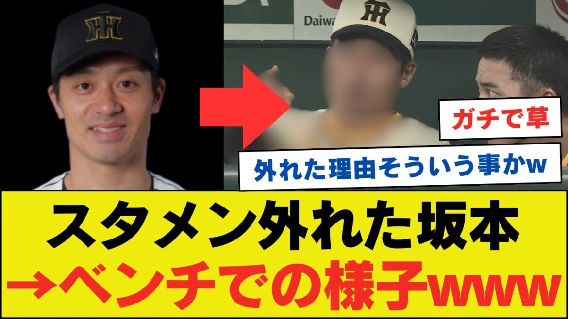 スタメンを外れた坂本誠志郎、ベンチで無双してしまうwwwwwwwwww【ネットの反応】