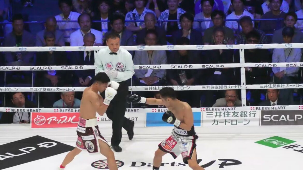 中谷潤人 vs 西田凌佑　１Rハイライト