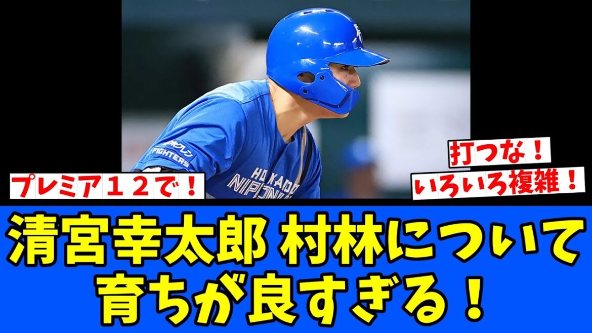 【育ちがいい】清宮幸太郎 村林について！