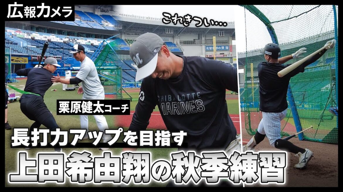 長打力に磨きをかける！上田希由翔 充実の秋季練習にカメラが接近【広報カメラ】