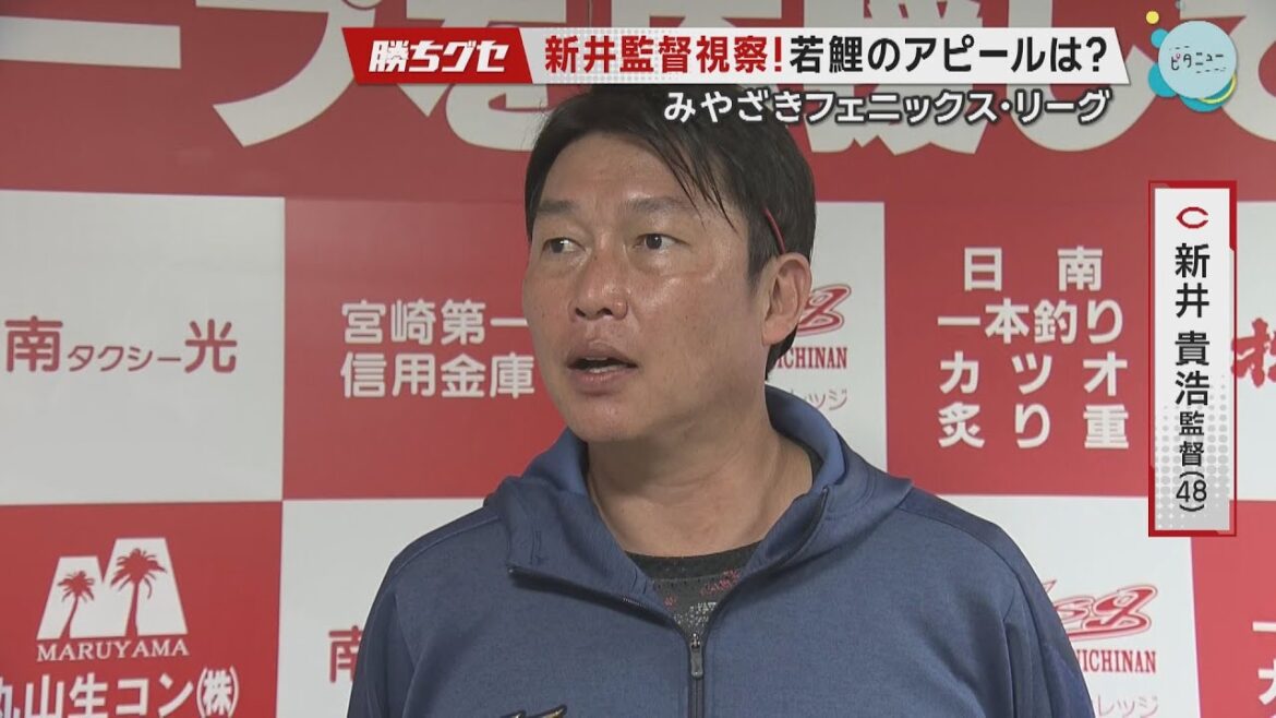 【フェニックス情報】新井監督視察 若鯉のアピールは｜Carp斉藤優汰｜勝ちグセ｜カープ