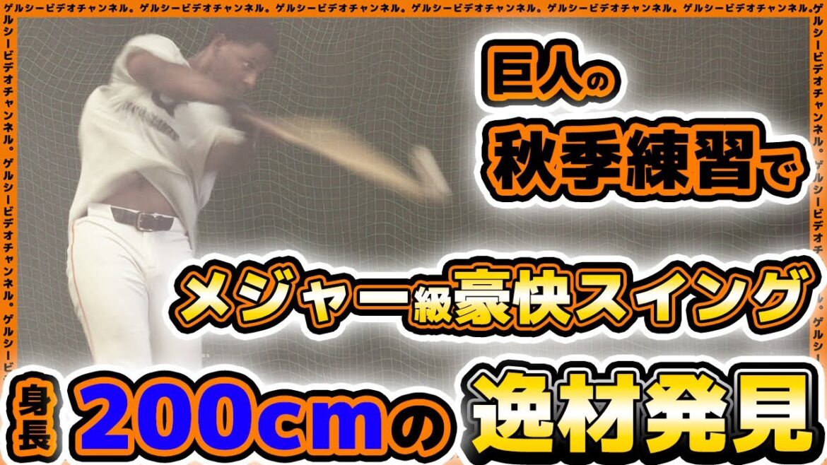【巨人】秋季練習で身長200cmの逸材がメジャー級豪快スイング！読売ジャイアンツ球場・ファーム秋季練習見学ハイライト｜プロ野球ニュース
