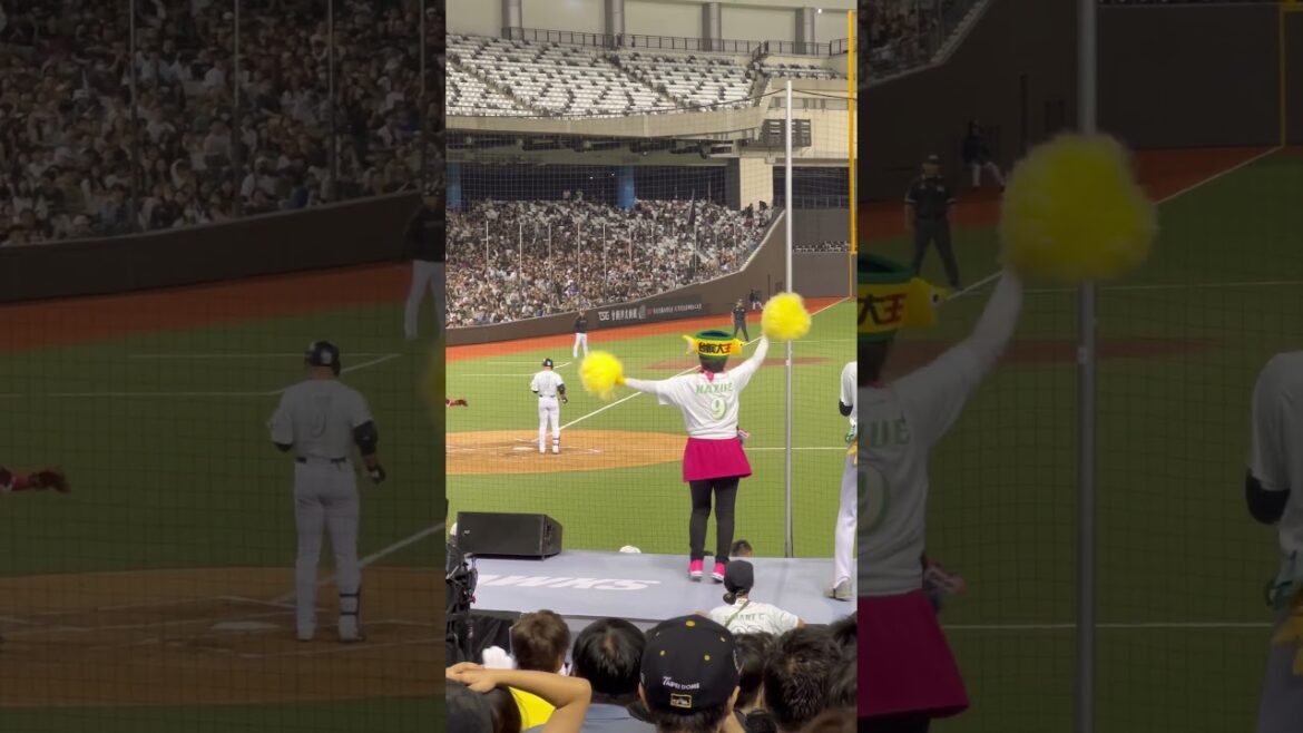 2025年9月26日 台鋼大巨蛋 北海道阿嬤替王柏融應援的背影