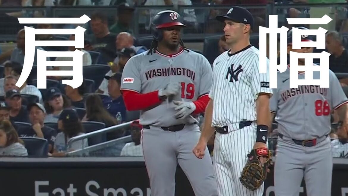 ジョシュベルの肩幅集 ジョシュベルの肩幅集