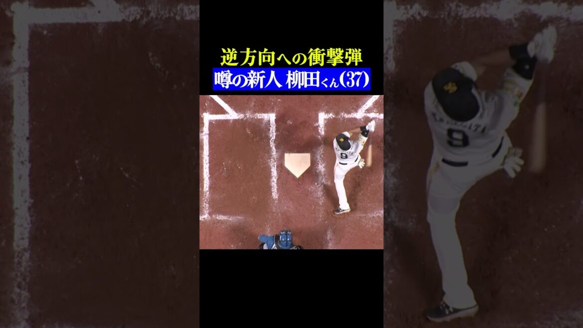 噂の超大型新人ギータ #shorts