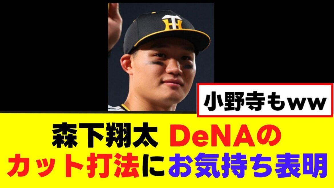【森下翔太】DeNAのカット打法にガチではっきり言うww