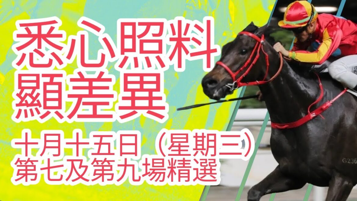 【馬迷誌】悉心照料顯差異 周三谷草再衝刺 |10月15日 第七場及第九場 【馬迷誌】悉心照料顯差異 周三谷草再衝刺 |10月15日 第七場及第九場