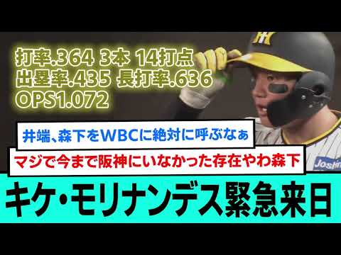 【緊急来日】キケ・モリナンデスの成績、バグ。 【阪神タイガース/プロ野球/なんJ2ch5chスレまとめ/セリーグ/石井大智/及川雅貴/佐藤輝明/森下翔太サヨナラホームラン 【緊急来日】キケ・モリナンデスの成績、バグ。 【阪神タイガース/プロ野球/なんJ2ch5chスレまとめ/セリーグ/石井大智/及川雅貴/佐藤輝明/森下翔太サヨナラホームラン