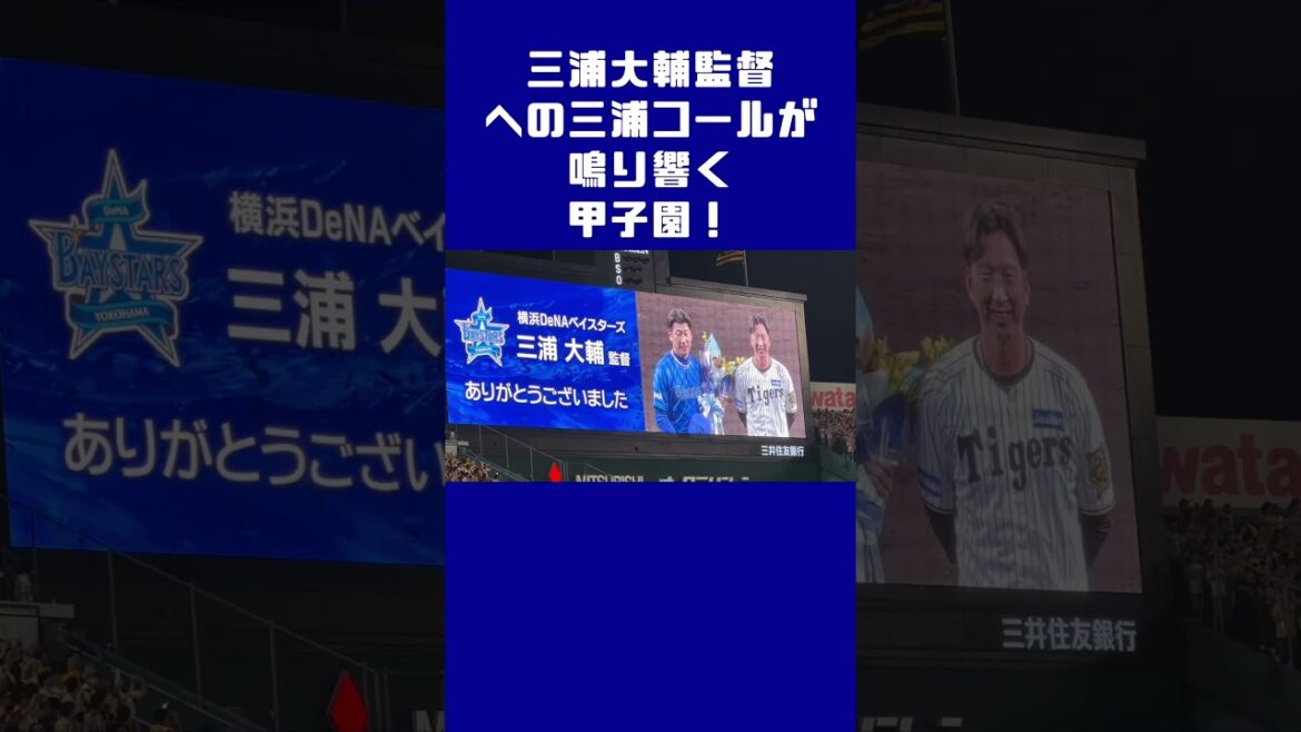 三浦コールが鳴り響く甲子園！　#三浦大輔　#横浜denaベイスターズ  #クライマックスシリーズ