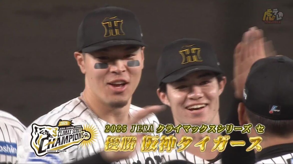 【CS制覇】阪神タイガース、2025 JERAクライマックスシリーズセ 優勝の瞬間!!【2025/10/17 T-DB】 【CS制覇】阪神タイガース、2025 JERAクライマックスシリーズセ 優勝の瞬間!!【2025/10/17 T-DB】