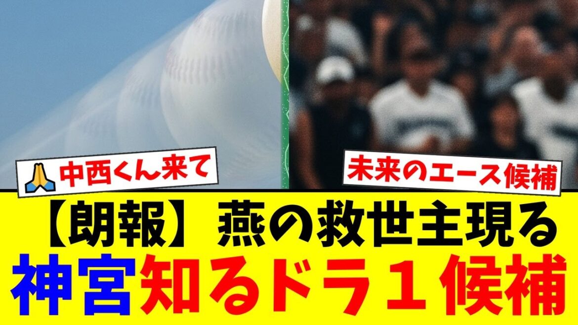 【朗報】ヤクルト、来季の投手王国再建へ!2025年ドラフト1位候補に浮上した”神宮を知る男”中西聖輝の圧巻すぎる経歴とヤクルトファンからの期待の声がヤバい!【プロ野球ファンの反応】 【朗報】ヤクルト、来季の投手王国再建へ!2025年ドラフト1位候補に浮上した"神宮を知る男"中西聖輝の圧巻すぎる経歴とヤクルトファンからの期待の声がヤバい!【プロ野球ファンの反応】