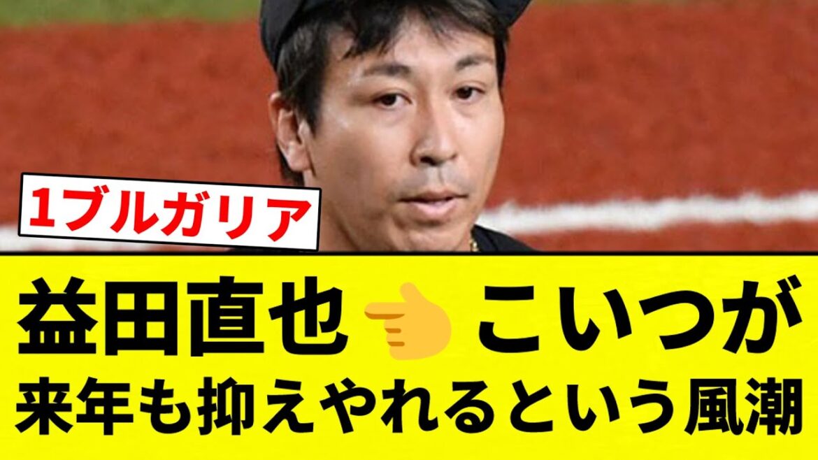 【ロッカーパンチや】益田直也👈こいつが来年も抑えやれるという風潮【プロ野球反応集】【2chスレ】【なんG】