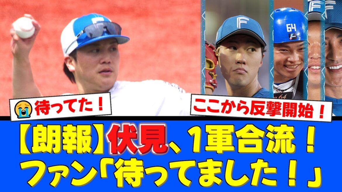 【緊急昇格】崖っぷちの日ハムに救世主!ベテラン伏見寅威の復帰にファンから「待ってました!」と歓喜の声が殺到!逆転CSへの希望の光となるか!?【プロ野球ファンの反応】 【緊急昇格】崖っぷちの日ハムに救世主!ベテラン伏見寅威の復帰にファンから「待ってました!」と歓喜の声が殺到!逆転CSへの希望の光となるか!?【プロ野球ファンの反応】