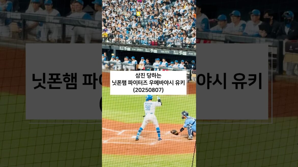 北海道日本ハムファイターズ　梅林優貴　空振り三振