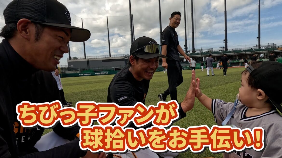 Yomiuri-Giants: ちびっ子ファンが球拾いをお手伝い! ちびっ子ファンが球拾いをお手伝い!