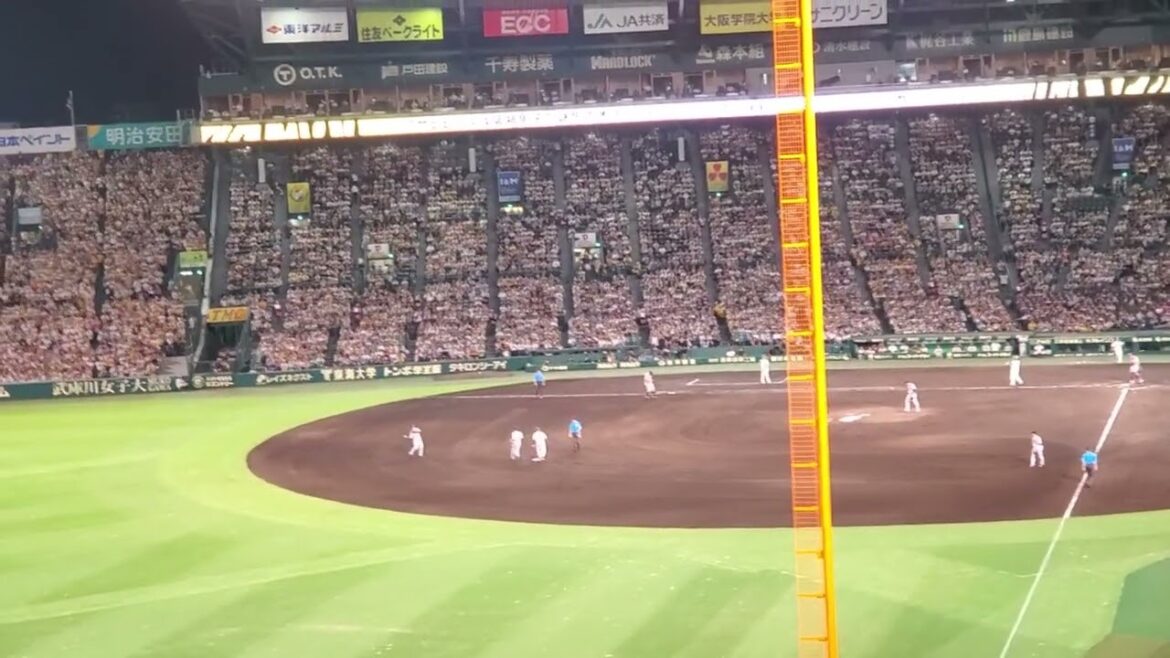 20240801　実はまだｷﾞﾘ汎用応援歌でした【渡邉諒　ﾋｯﾃｨﾝｸﾞﾏｰﾁ二番】　汎用ﾃｰﾏ　7回ｳﾗ　阪神ﾀｲｶﾞｰｽ@阪神甲子園球場･ﾚﾌﾄ外野［KOSHIEN CLASSIC SERIES］