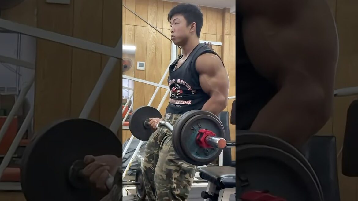 渡部史也最強の腕トレ二頭筋編‼️ #ボディビル #筋トレ #bodybuilding