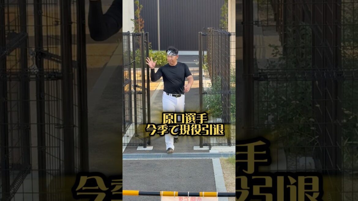 原口選手の現役引退が発表されました25/9/29 #阪神タイガース #阪神 #阪神ファン #甲子園 #原口文仁 #帝京 #大腸がん #鳴尾浜 #現役引退 #引退 #代打 #がんサバイバー