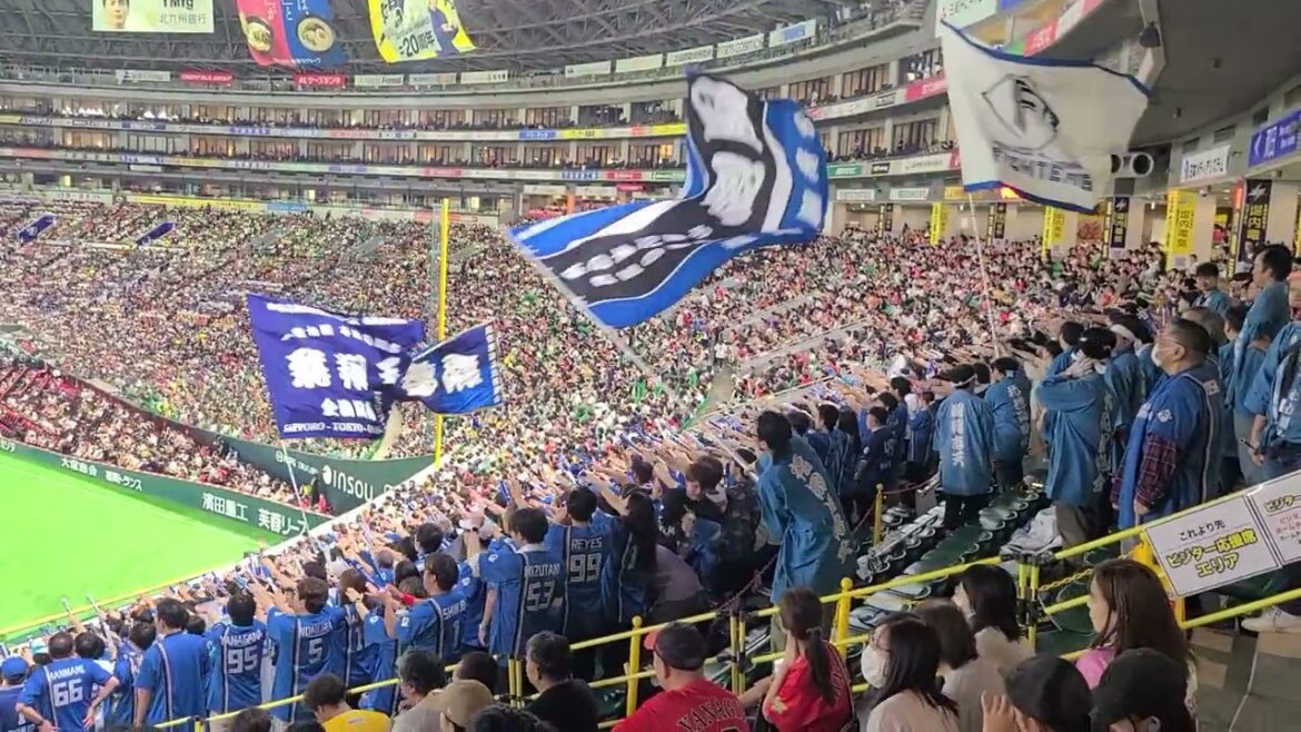 日本ハムファイターズの応援がすごい