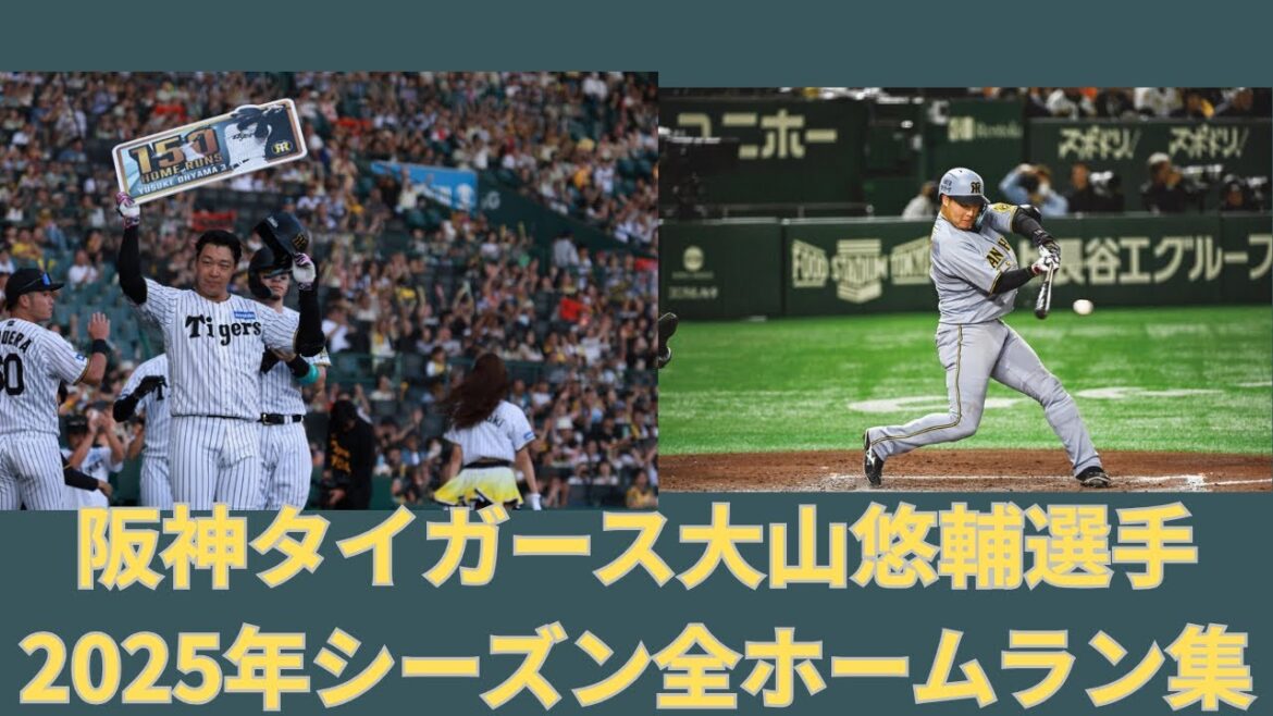 阪神タイガース大山悠輔選手2025年シーズン全ホームラン集　#阪神タイガース #ホームラン #大山悠輔 #大山  #阪神 #タイガース #プロ野球 #野球