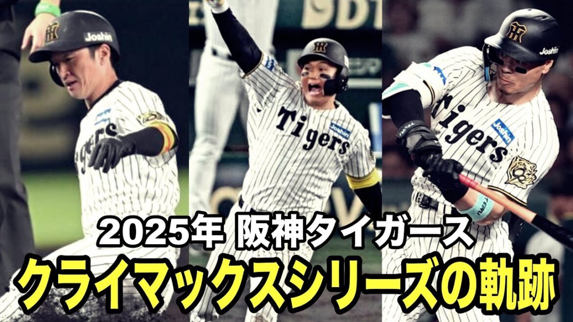 2025年 阪神タイガース クライマックスシリーズの軌跡