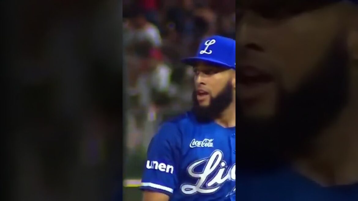 Mel Rojas JR con la JOYITA a la defensiva #licey #liceyvsescogido #escogido Mel Rojas JR con la JOYITA a la defensiva #licey #liceyvsescogido #escogido
