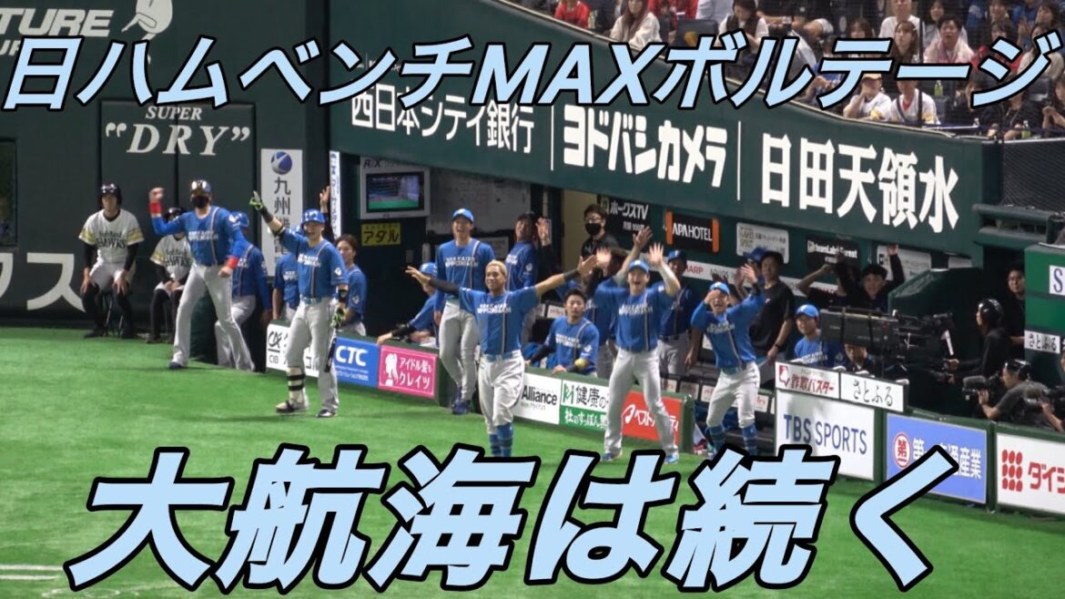 日本ハムベンチがお祭り騒ぎ🎉レイエスホームランにMAXボルテージ🥹（新庄監督•水谷瞬•清宮幸太郎•万波中正•郡司裕也）2025.10.18⚾️ホークス対日本ハム