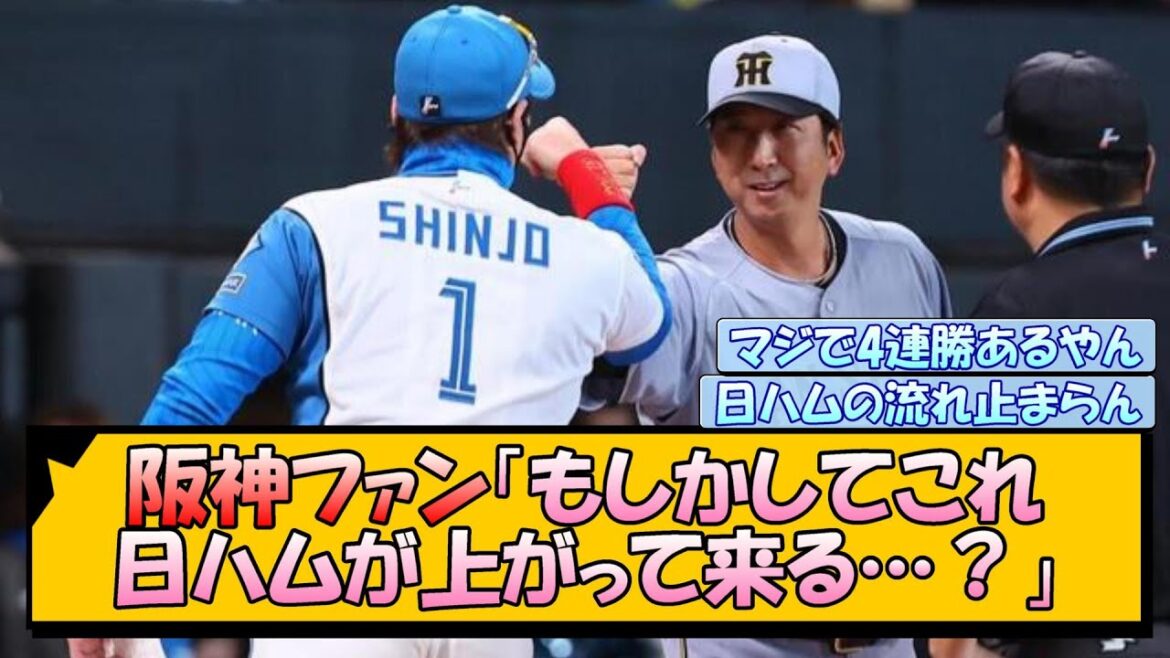 阪神ファン「もしかしてこれ日ハムが上がって来る…？」